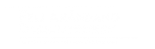 Feli-Arandano-Design-Logo-2